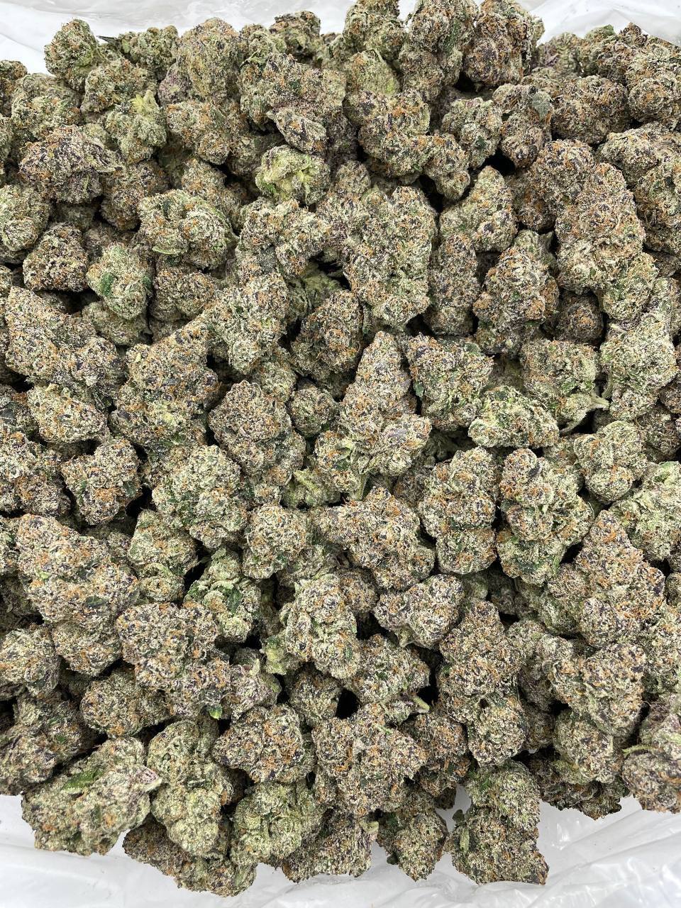 Purple Pressure - Image 2