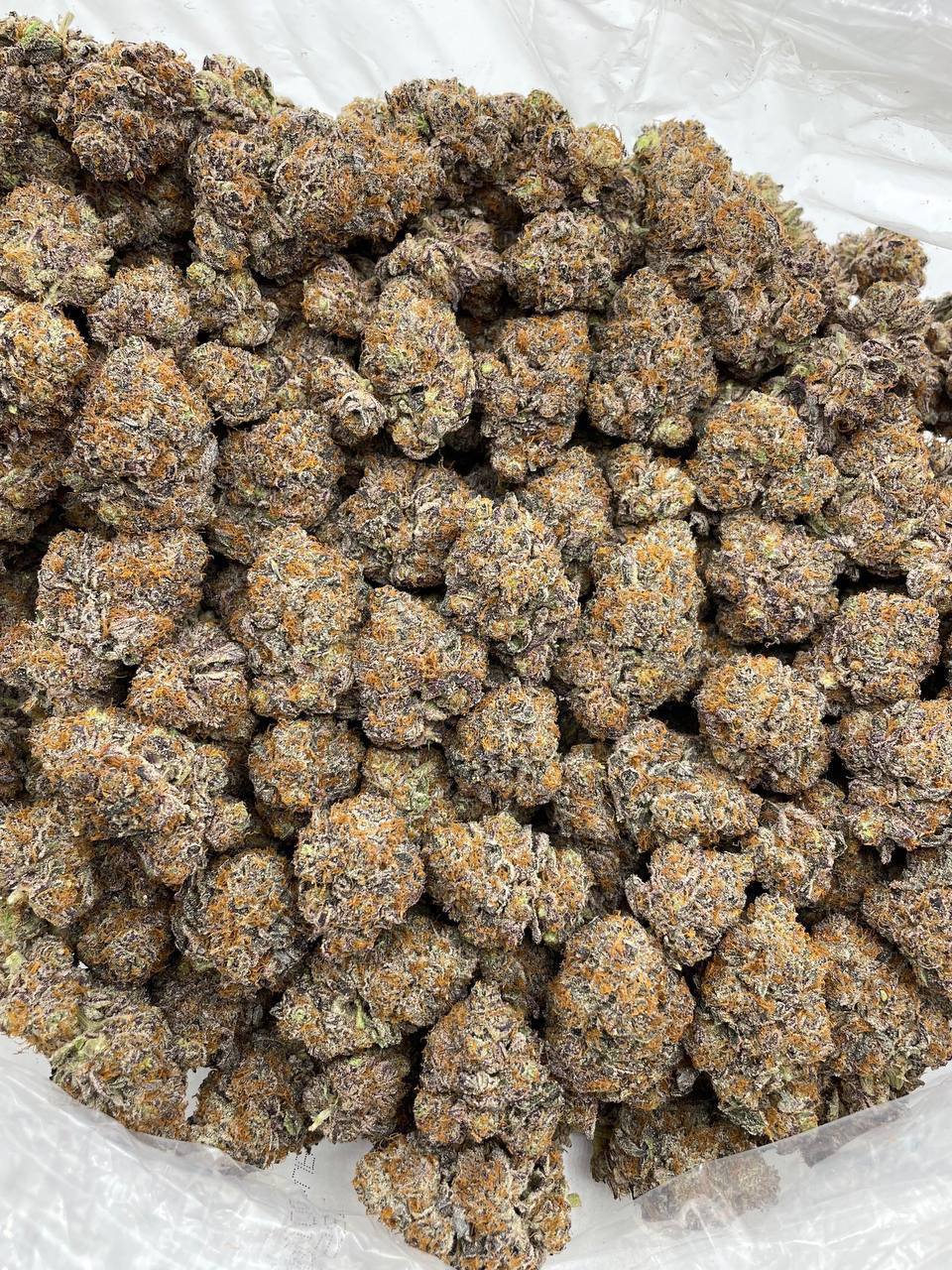 Rainbow Fanta - Image 2