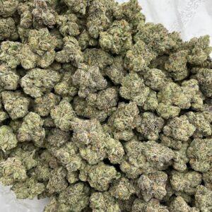 Alternative view of Candy Otter Popz