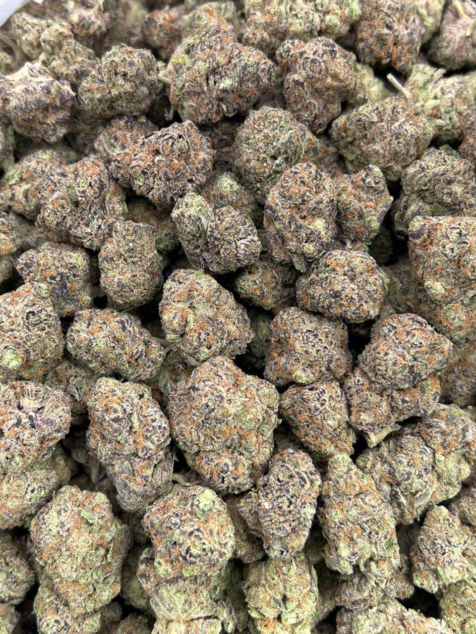 Pink Bubble Gum - Image 2