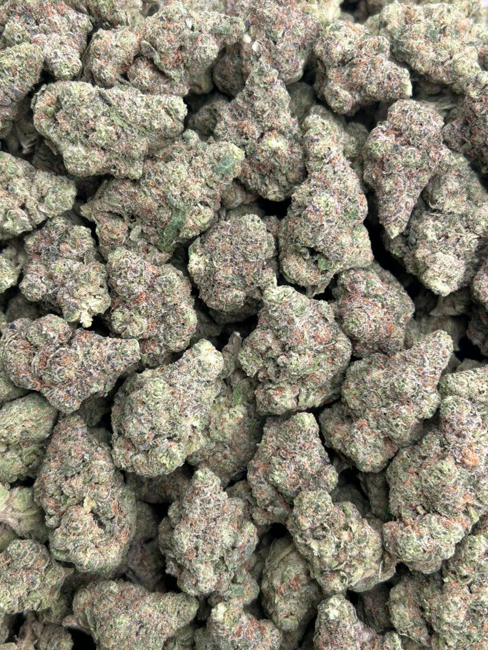 Frosty Toad Candy - Image 2