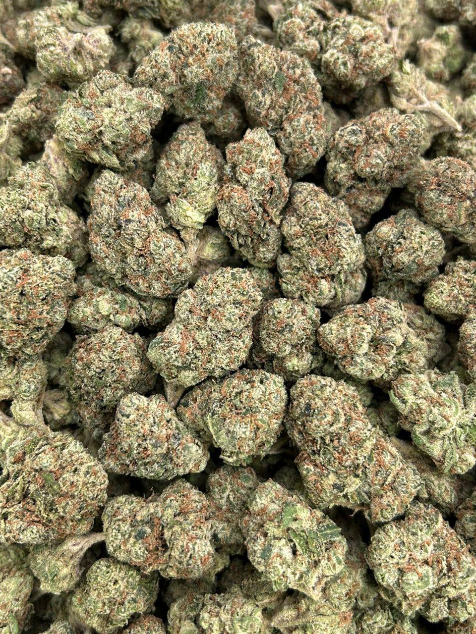 Blue Gummy Gelatos - Image 2