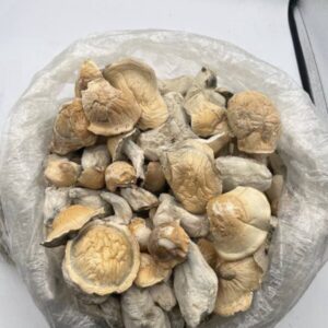 PSYCHEDELICS/LEAN/HASH