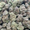 Gelato