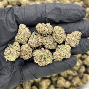 Alternative view of Cherry pie