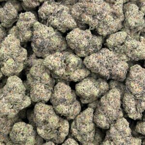 Gelato 41