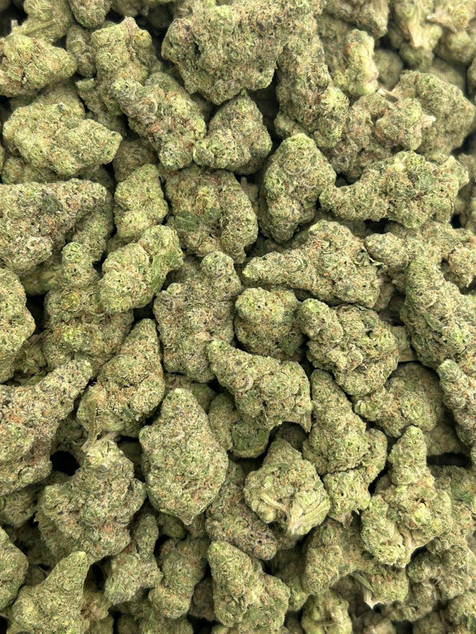 Sluggerz GMO