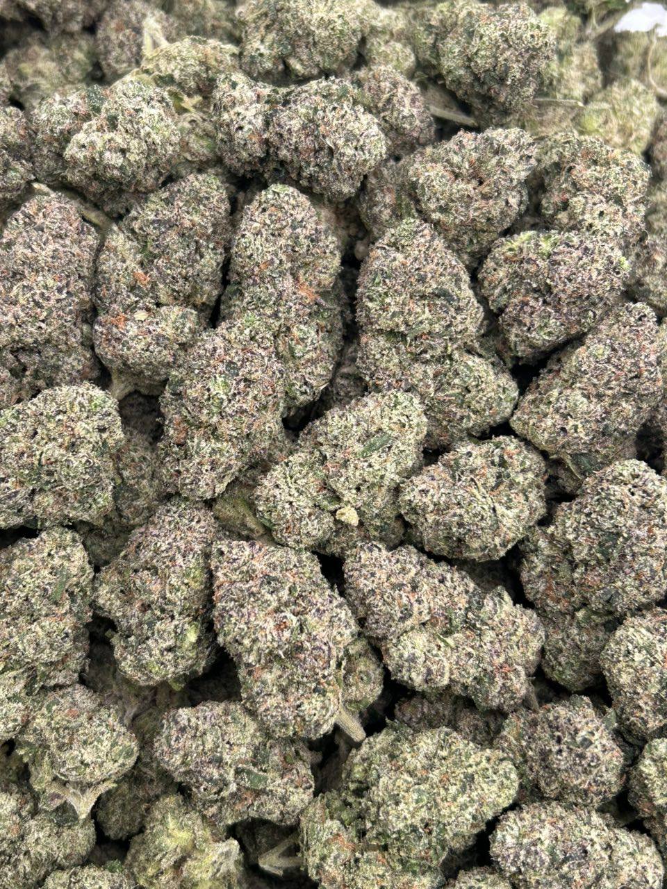 Delicious Candy