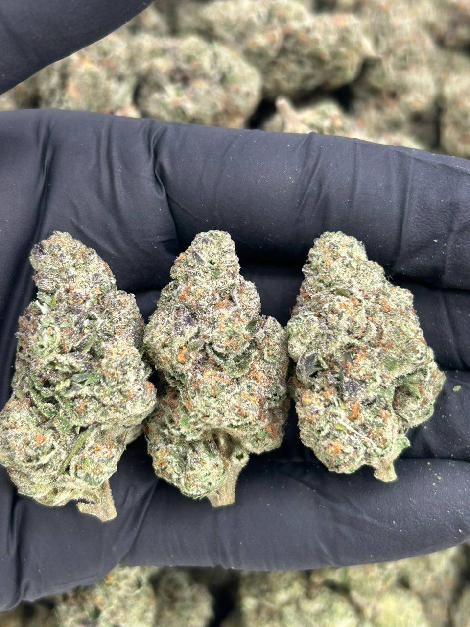 Emerald OG - Image 2