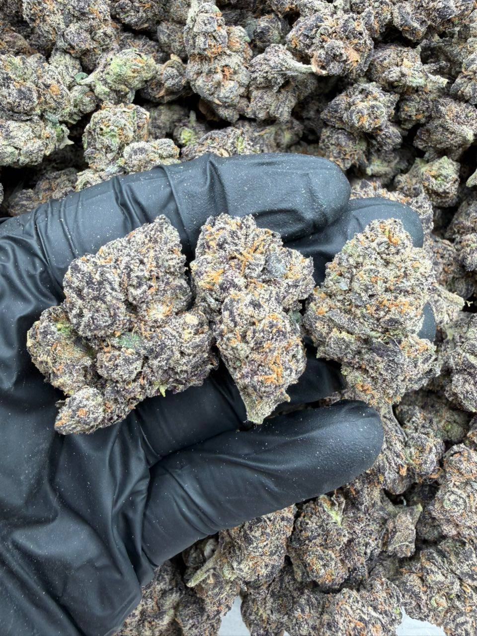 Sour OG - Image 2