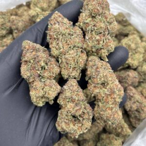 Alternative view of Pure Michigan
