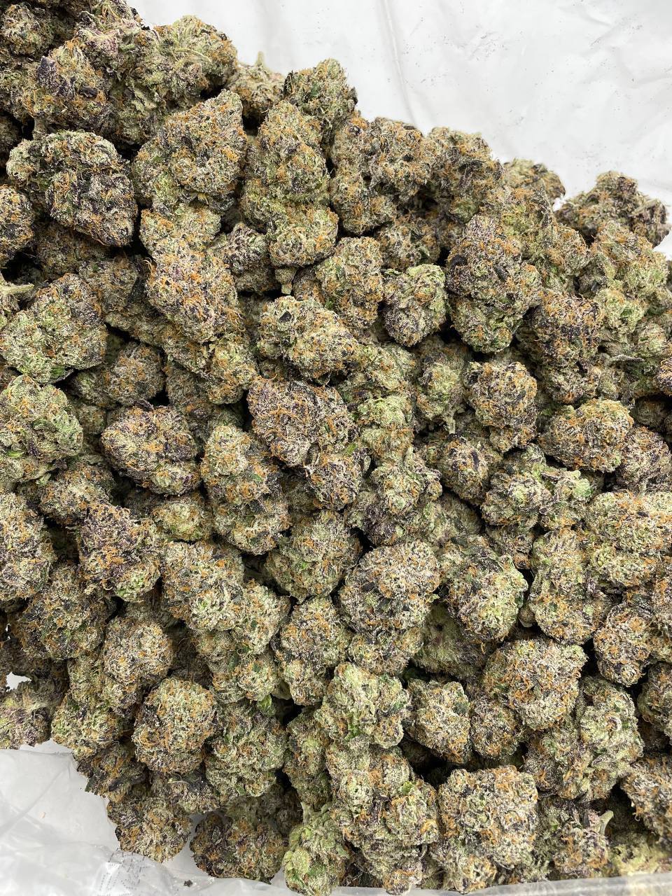 Blue Raspberry Snow Cone