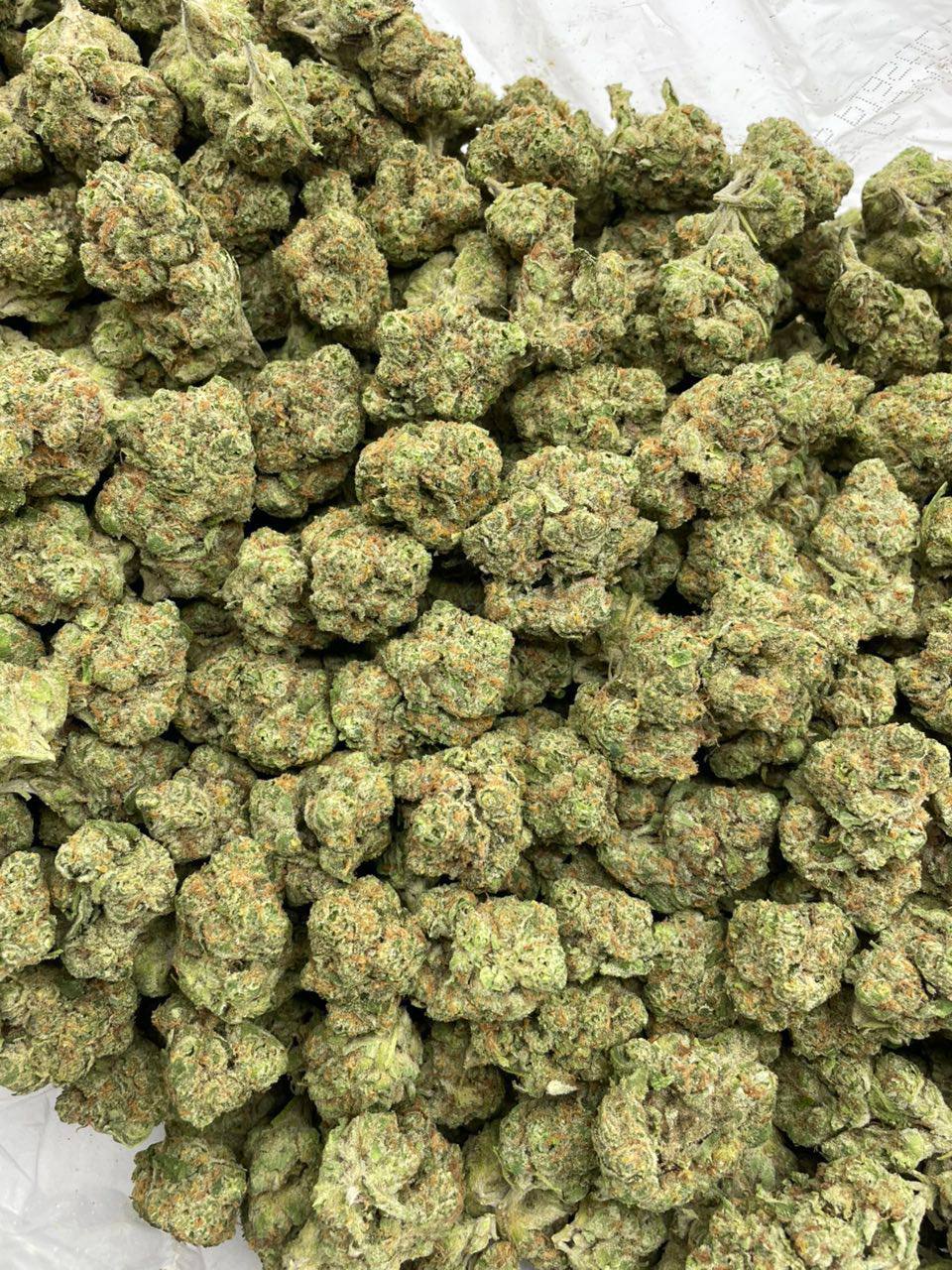 Sour Tropicana