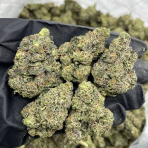 Alternative view of Bubblegum Berry