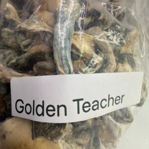 Alternative view of Golden teachers shrooms